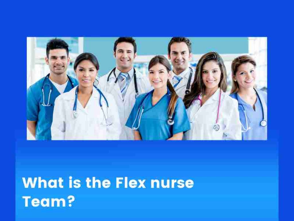 What is the Flex nurse Team?