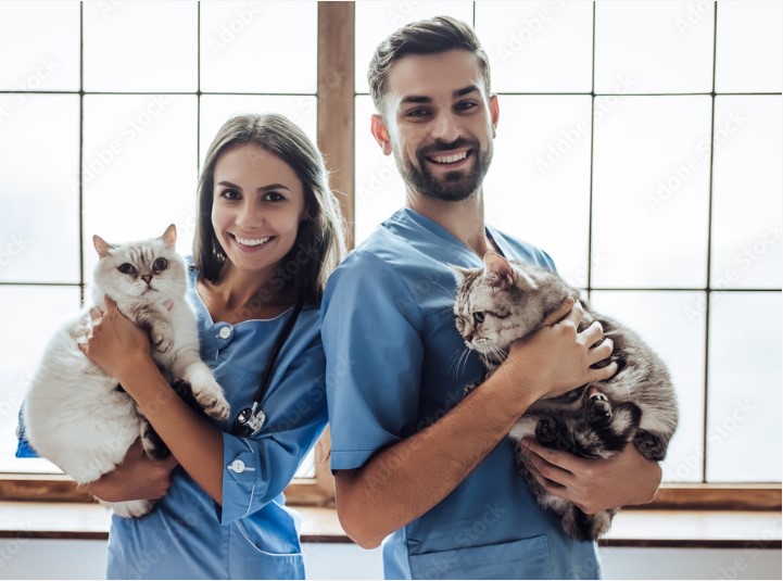 What Is A Veterinary Nurse? Nurse