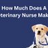 How Much Does A Licensed Vocational Nurse Make?